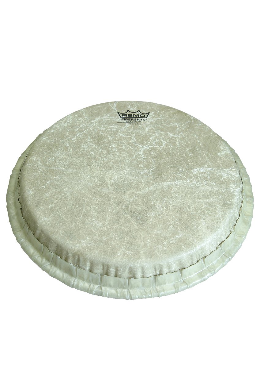Amazon.com: Remo Conga Drumhead, 11 3/4